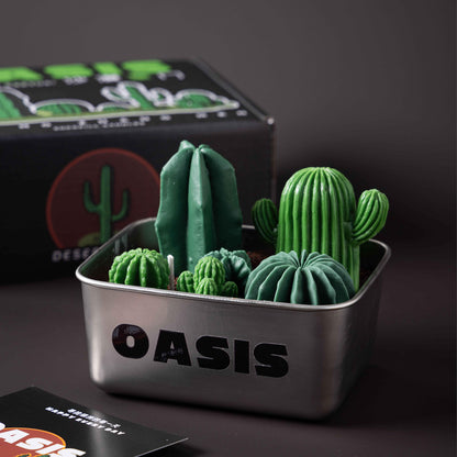Handmade Catus Scented Candle