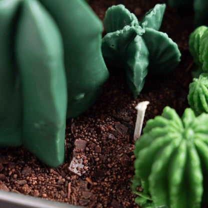Handmade Catus Scented Candle
